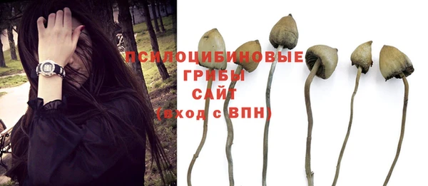 ПСИЛОЦИБИНОВЫЕ ГРИБЫ Алексеевка